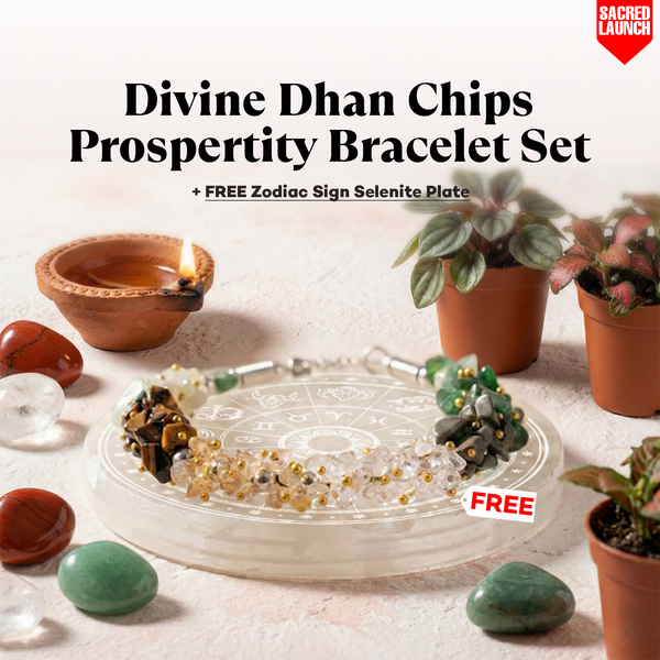 Divine Dhan Chips Prosperity Bracelet Set