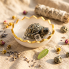 Pyrite Turtle with Selenite Charging Plate for Vastu