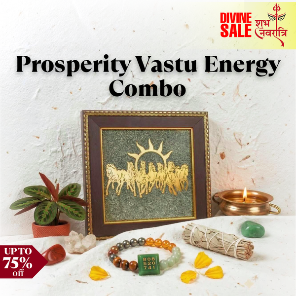 Prosperity Vastu Energy Combo