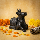 Karungali Nandi JI Idol - Black Ebony