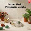 Divine Shakti Prosperity Combo