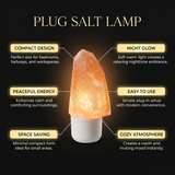 Divine Plug HIMALAYAN Salt Lamp