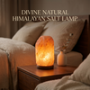 Divine Natural HIMALAYAN Salt Lamp