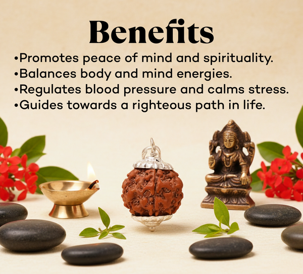 5 Mukhi Rudraksha (Nepal Origin)