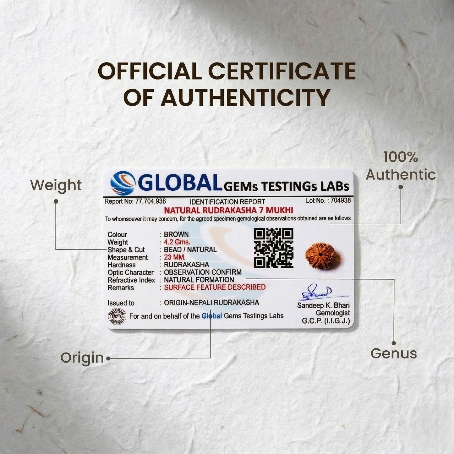 7 Mukhi Rudraksha (Nepal Origin)