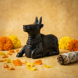Karungali Nandi JI Idol - Black Ebony