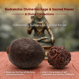 925 Pure Sterling Silver Rudraksha Mala