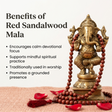Red Sandalwood Jaap Mala - 108+1 Beads