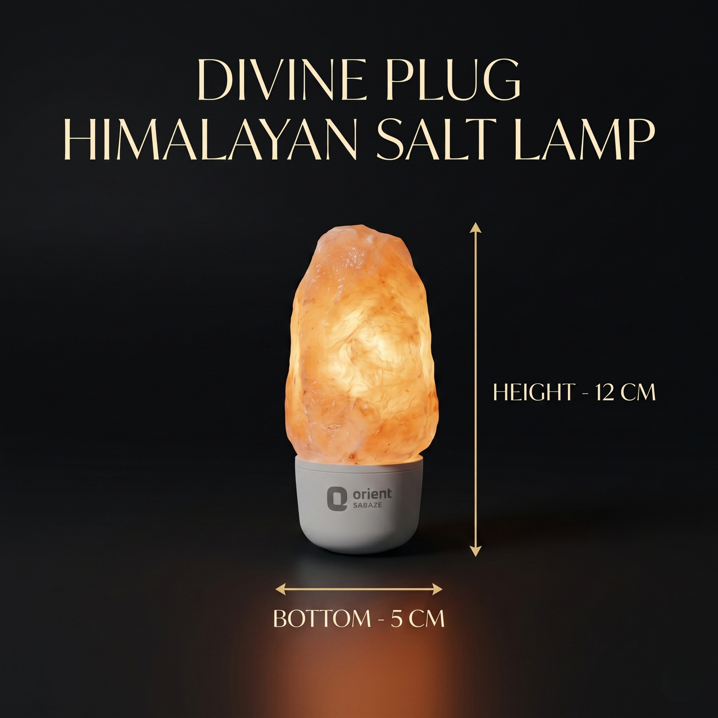 Divine Plug HIMALAYAN Salt Lamp