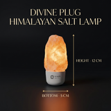 Divine Plug HIMALAYAN Salt Lamp