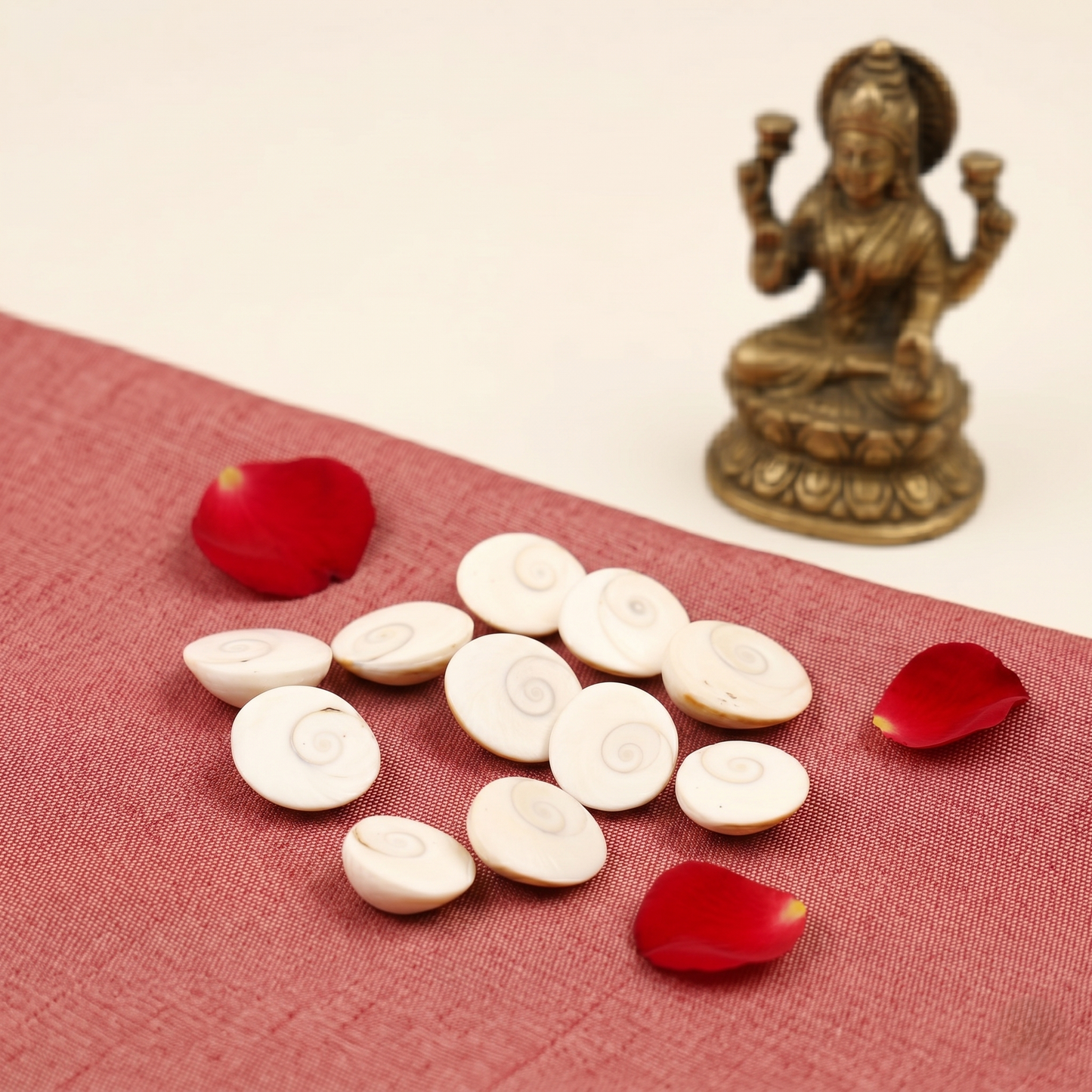 Siddh Gomti Chakra Pack