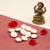 Siddh Gomti Chakra Pack