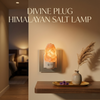 Divine Plug HIMALAYAN Salt Lamp