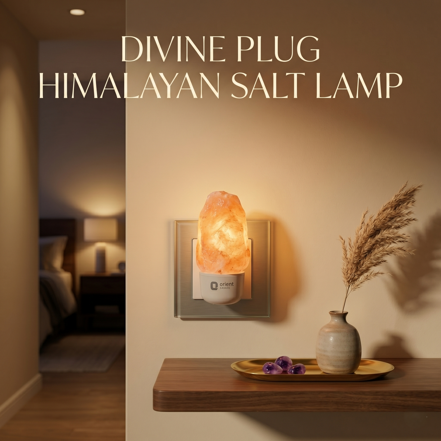 Divine Plug HIMALAYAN Salt Lamp
