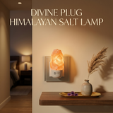 Divine Plug HIMALAYAN Salt Lamp