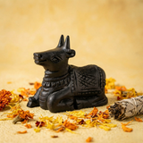 Karungali Nandi JI Idol - Black Ebony