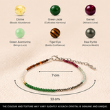Dhan Vriddhi Anklet