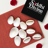 Siddh Kodi Shell Pack