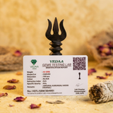 Karungali Mahadev Trishool – Vastu & Protection Symbo