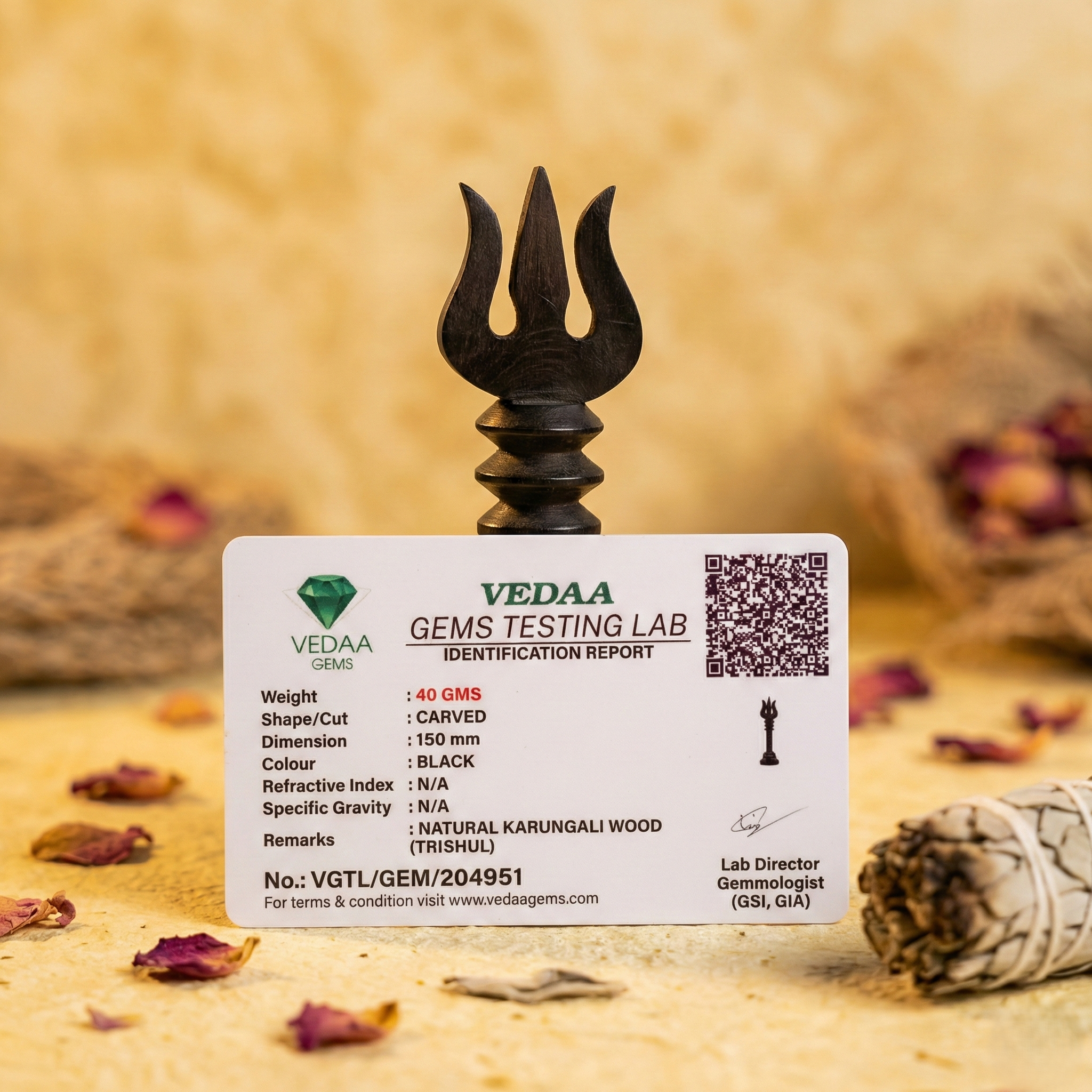 Karungali Mahadev Trishool – Vastu & Protection Symbo