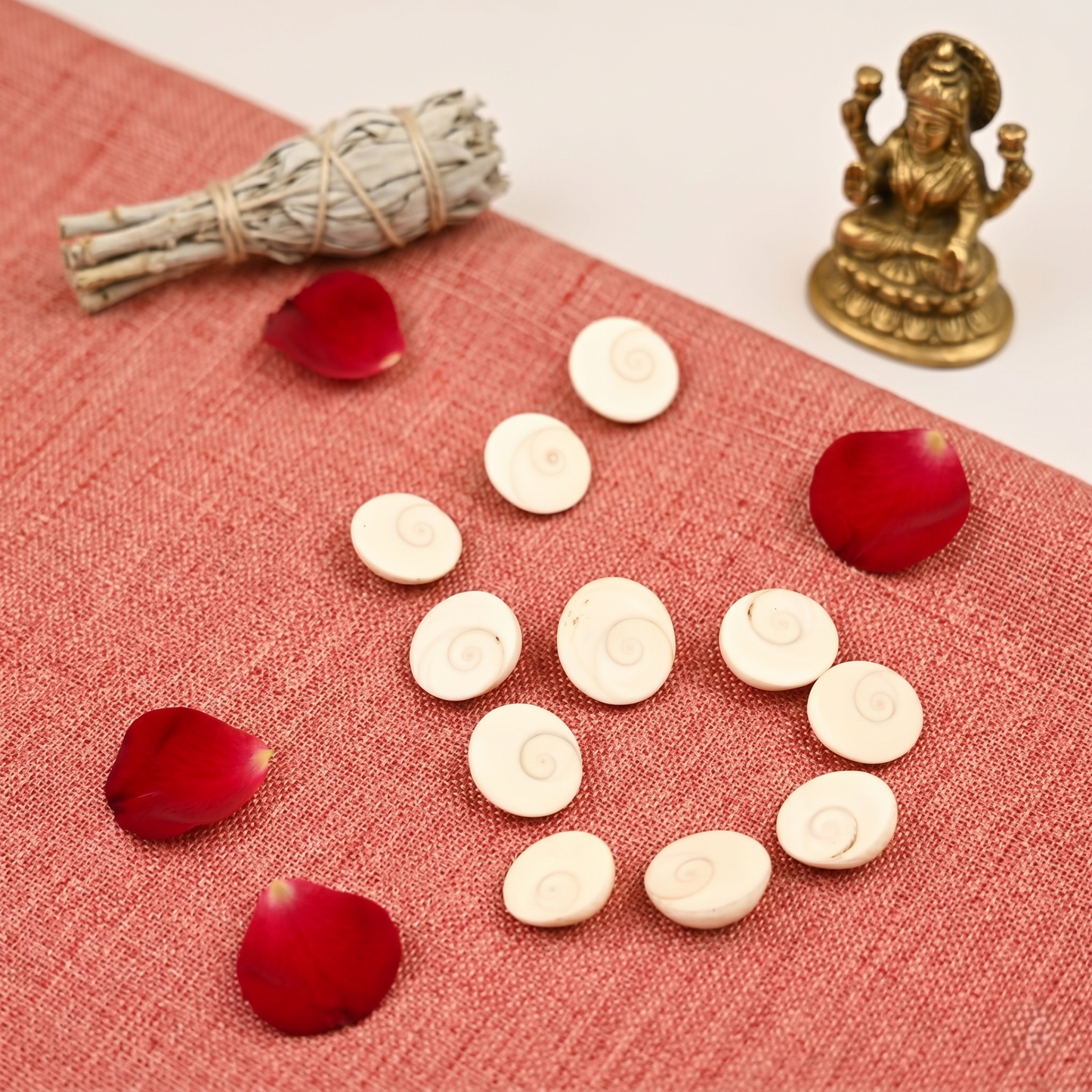 Siddh Gomti Chakra Pack