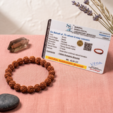 5 Mukhi Rudraksha Bracelet