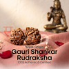 Gauri Shanker Rudraksha (Nepal Origin)