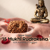 15 Mukhi Rudraksha (Nepal Origin)