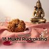 18 Mukhi Rudraksh (Nepal Origin)