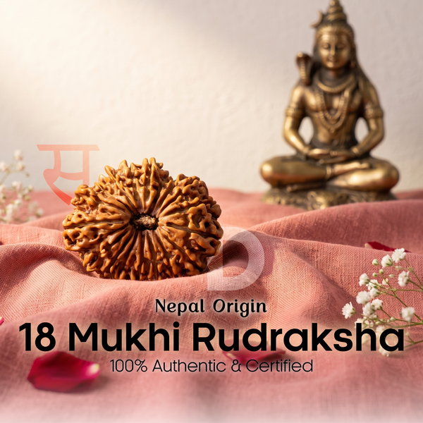 18 Mukhi Rudraksh (Nepal Origin)