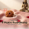 9 Mukhi Rudraksha (Nepal Origin)