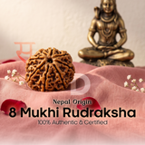 8 Mukhi Rudraksha (Nepal Origin)