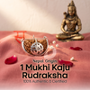 1 Mukhi Kaju Rudraksha Nepali 925 Pure Silver Capping