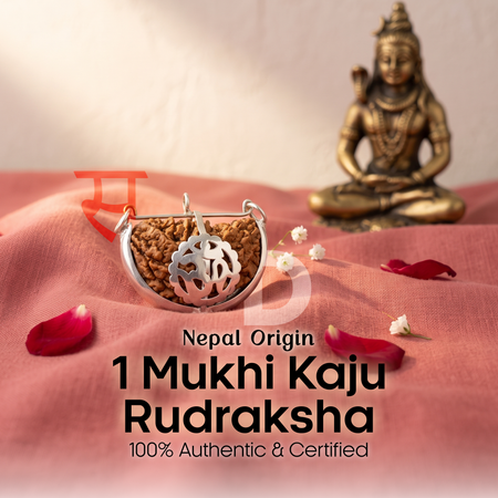1 Mukhi Kaju Rudraksha Nepali 925 Pure Silver Capping