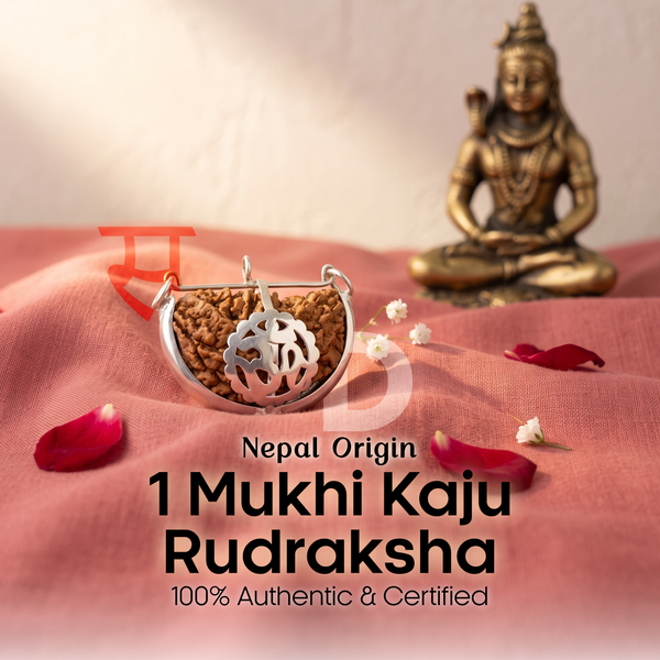 1 Mukhi Kaju Rudraksha Nepali 925 Pure Silver Capping