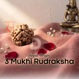 3 Mukhi Rudraksha (Nepal Origin)