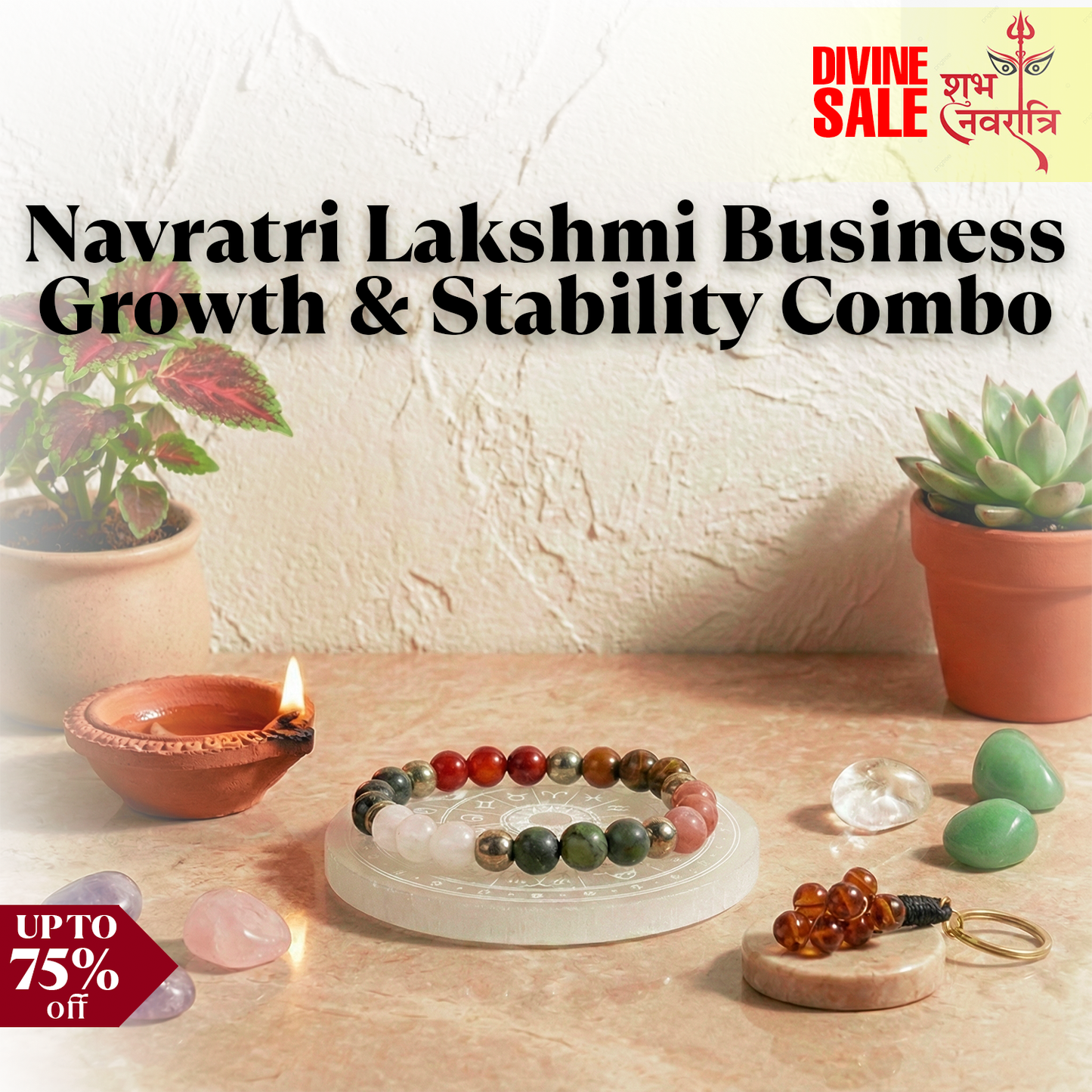 Navratri Lakshmi Business Growth & Stability Combo