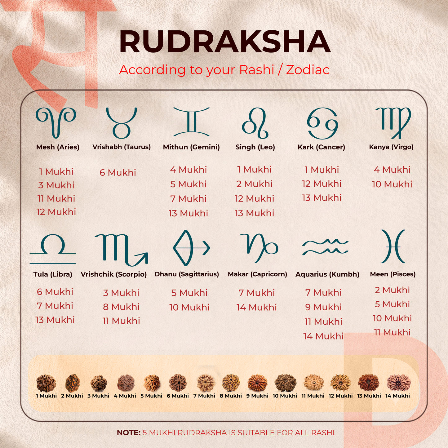 6 Mukhi Rudraksha (Nepal Origin)