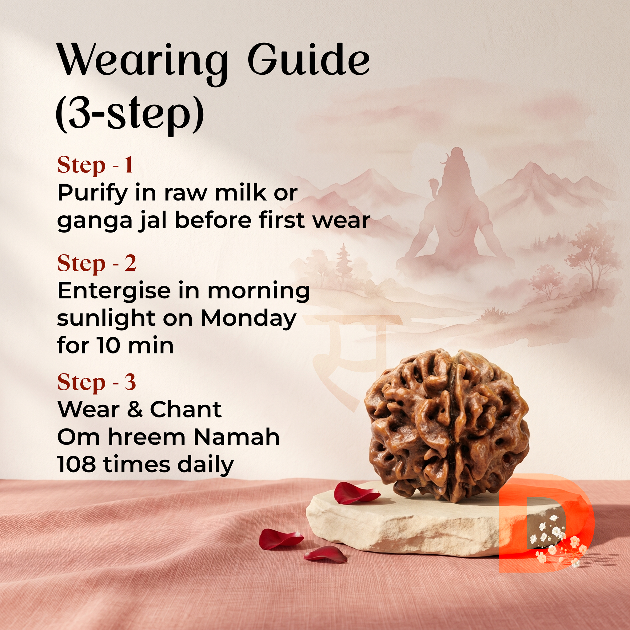 1 Mukhi Gol Dana Rudraksha (Nepal Origin)