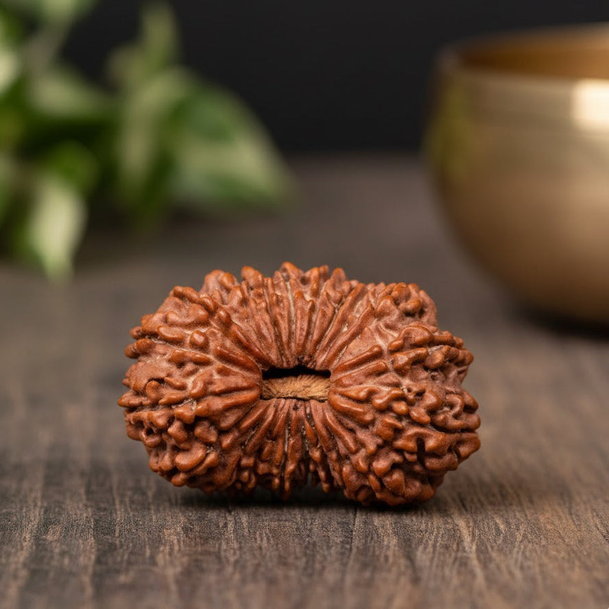 Brown rudraksha bead on a wooden surface with a blurred background