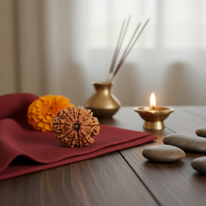 12 Mukhi Rudraksha (Nepal Origin)