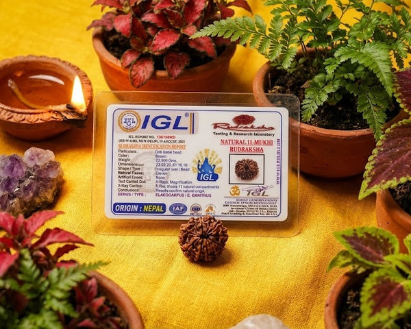 IGL label on a yellow surface with plants, crystals, and a lit oil lamp.