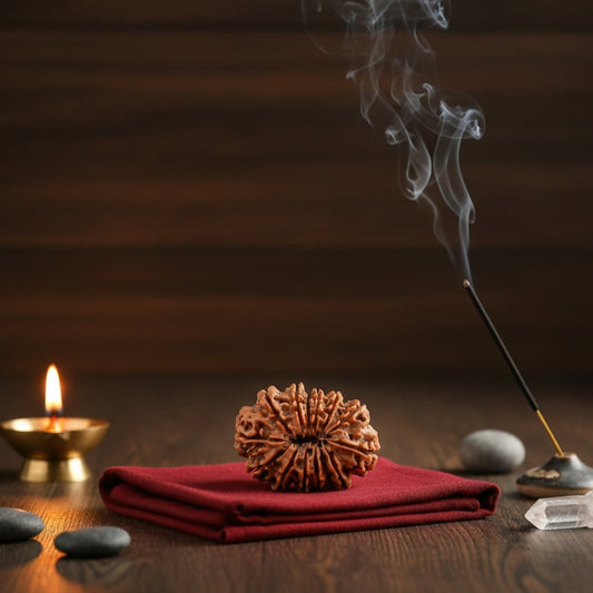 15 Mukhi Rudraksha (Nepal Origin)