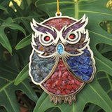 🦉7 Chakra Owl Wall Hanging – Vastu Evil Eye