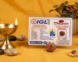 IGL label on a box with a small lamp, stones, and plants on a yellow background