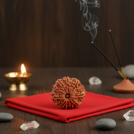 11 Mukhi Rudraksha (Nepal Origin)
