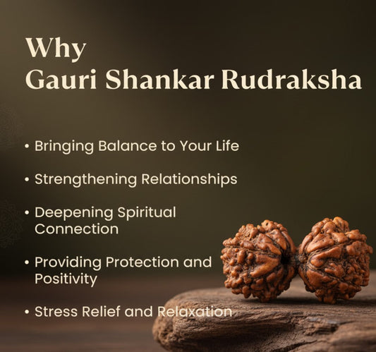 Gauri Shanker Rudraksha (Nepal Origin)