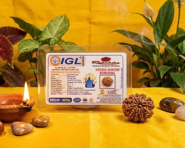 IGL certificated product on a yellow background with decorative items