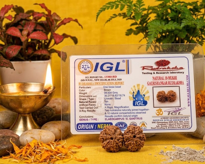 IGL certificate on a table with decorative items including plants and stones.